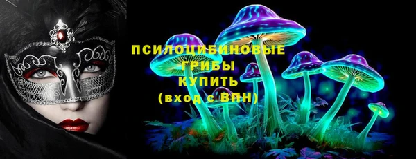 шишки Володарск